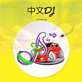 開車時候聽的歌 「中文 DJ 版」