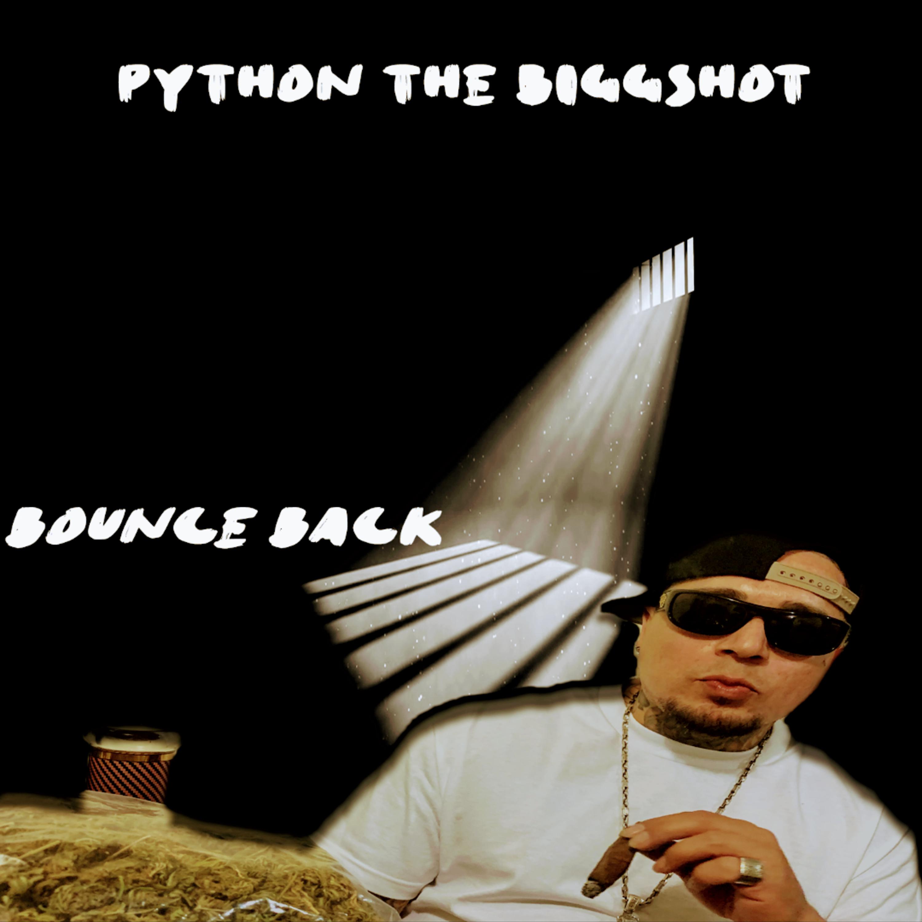 Python The BiggShot - Army