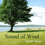 Sound Of Wind专辑