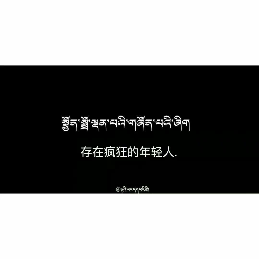 高原蹦迪不反应《青海慢摇》