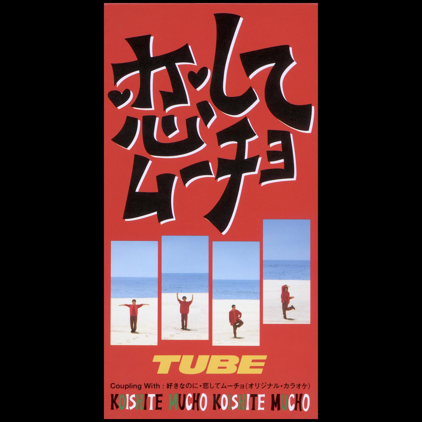 好きなのに专辑