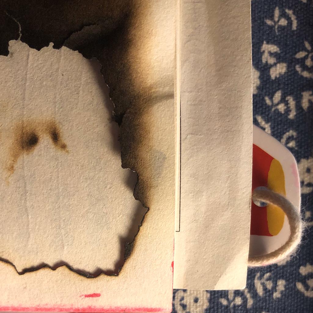 《我失去了身体》
