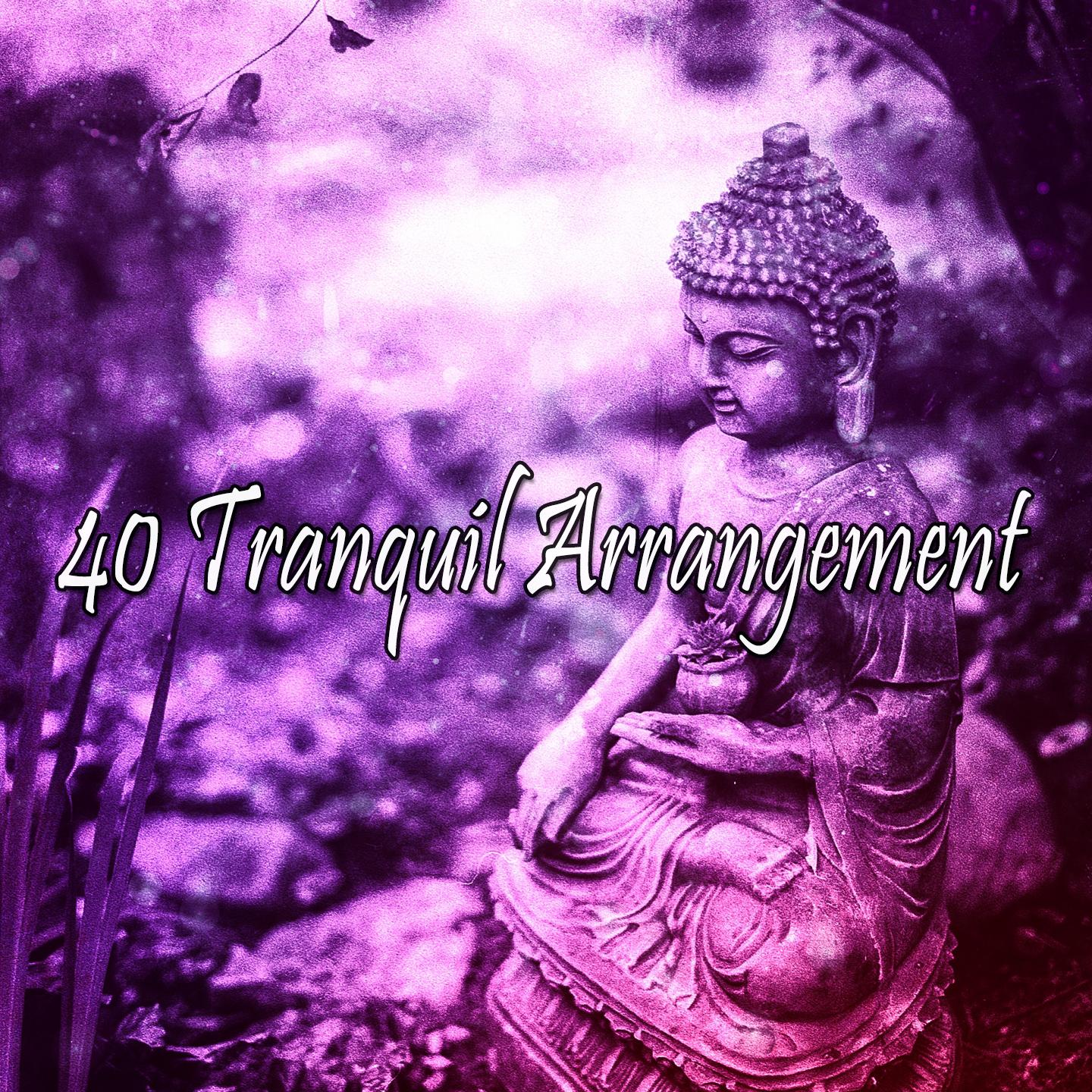 40 Tranquil Arrangement专辑