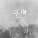 过度理解专辑