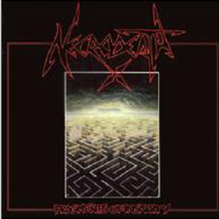 Fragments of Insanity