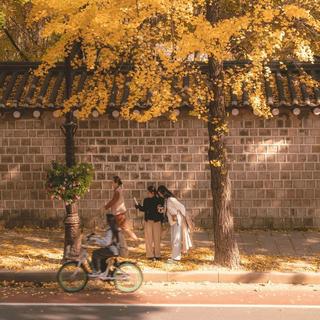 纯音流淌时，世界安静了许多