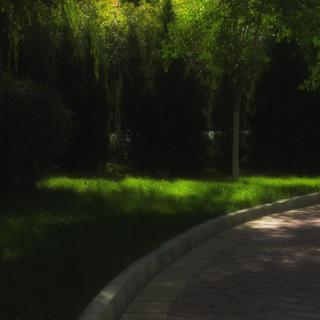 INFJ型人格｜以柔软内核消解世俗尖锐