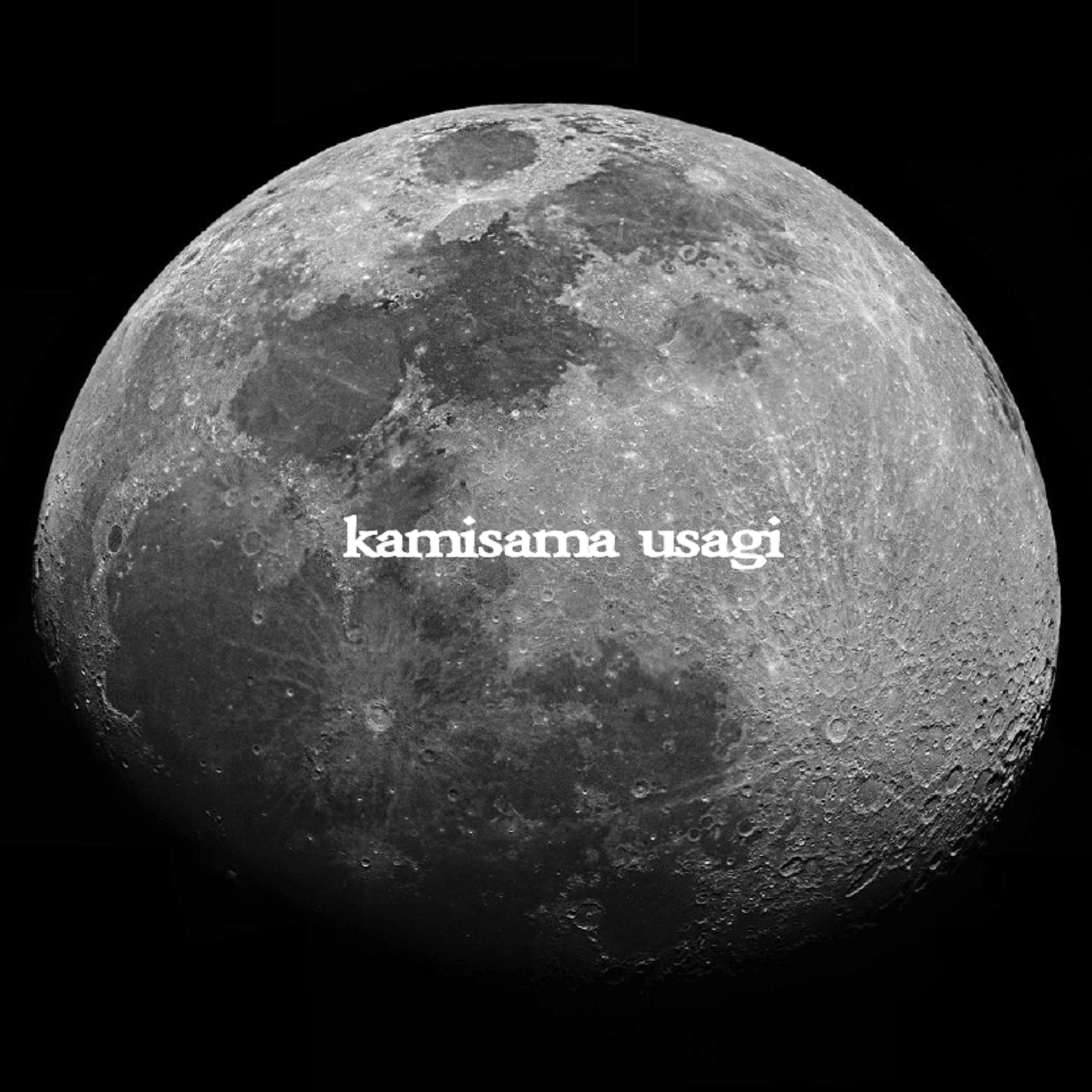 KAMISAMA USAGI