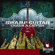 Swamp Guitar, Vol. 1: Charm a Catfish专辑
