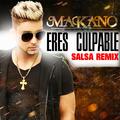 Eres Culpable (Remix)