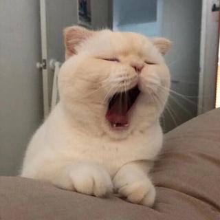 轻轻 '