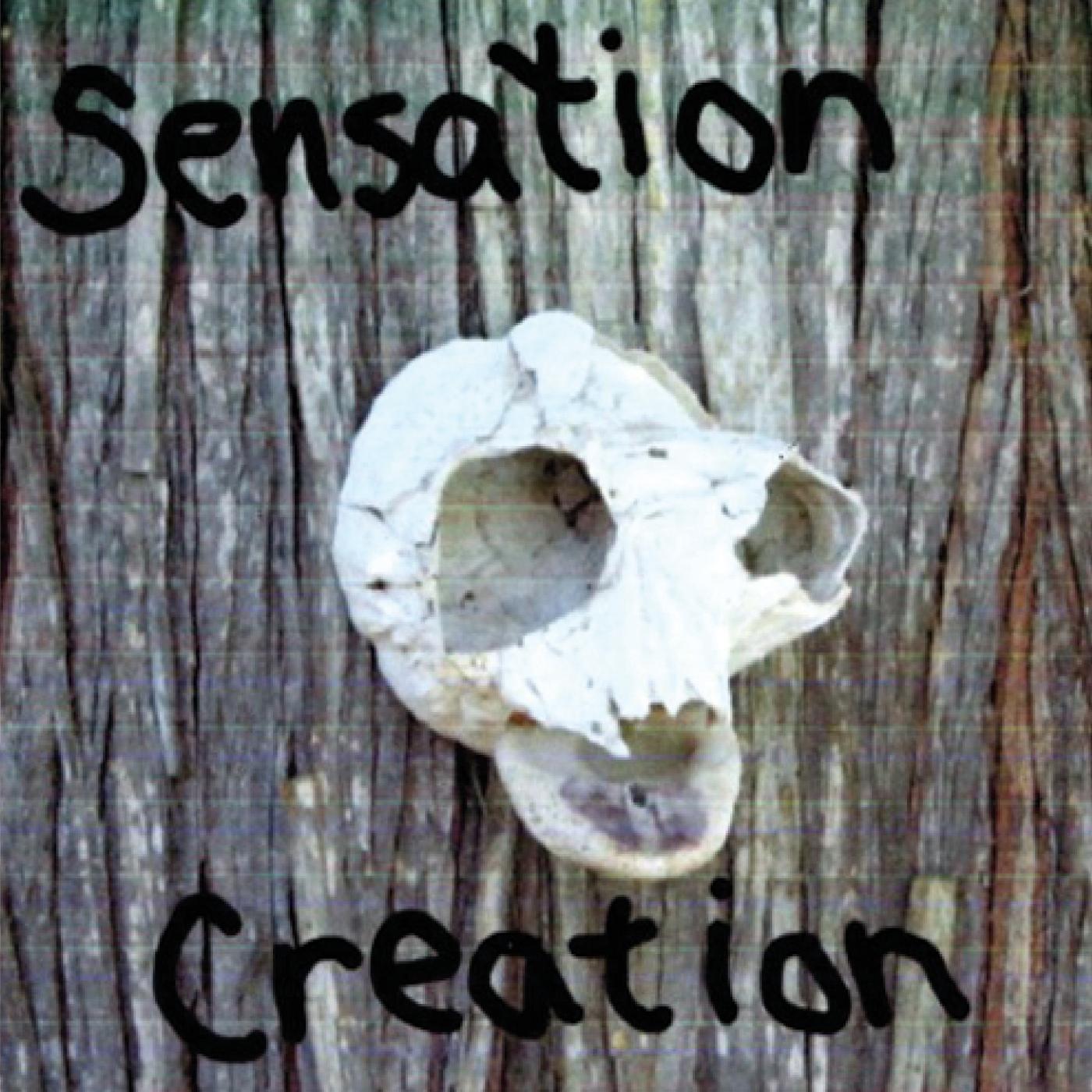 Sensation Creation (Live)