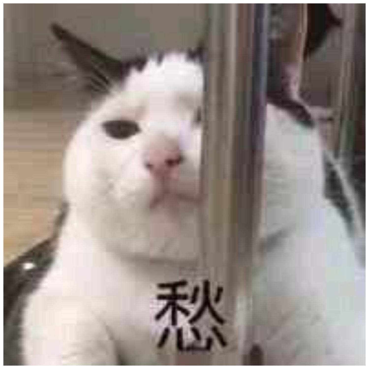 青灯