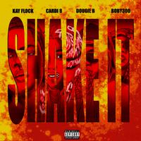 Cardi B、Kay Flock、Dougie B、Bory300 - Shake It