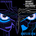 Bird’s Eye View 专辑