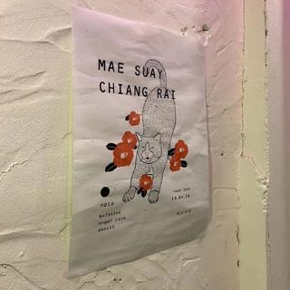 人总是认为截图可以留住很多东西 [40-42]