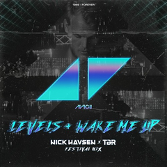 Levels+Wake Me Up (Nick Havsen & TBR Festival Mix)