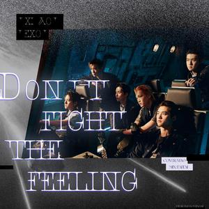 EXO - Don't Fight The Feeling 伴奏 （升5半音）