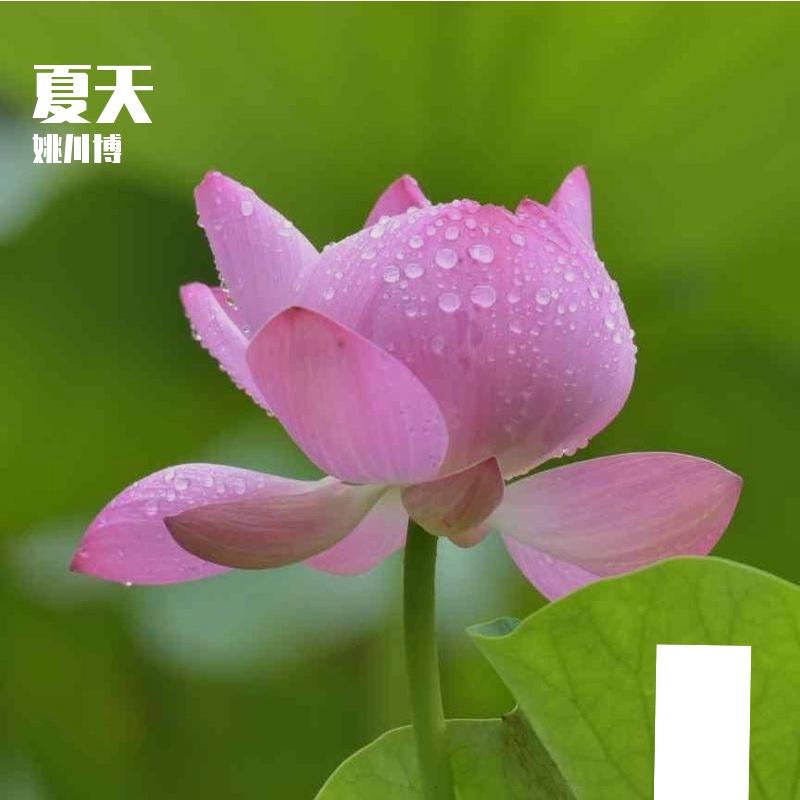 歌手:姚川博 所属专辑:夏天 相似歌曲 网易云音乐