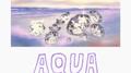 Aqua专辑