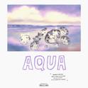 Aqua专辑