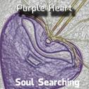 Soul Searching专辑