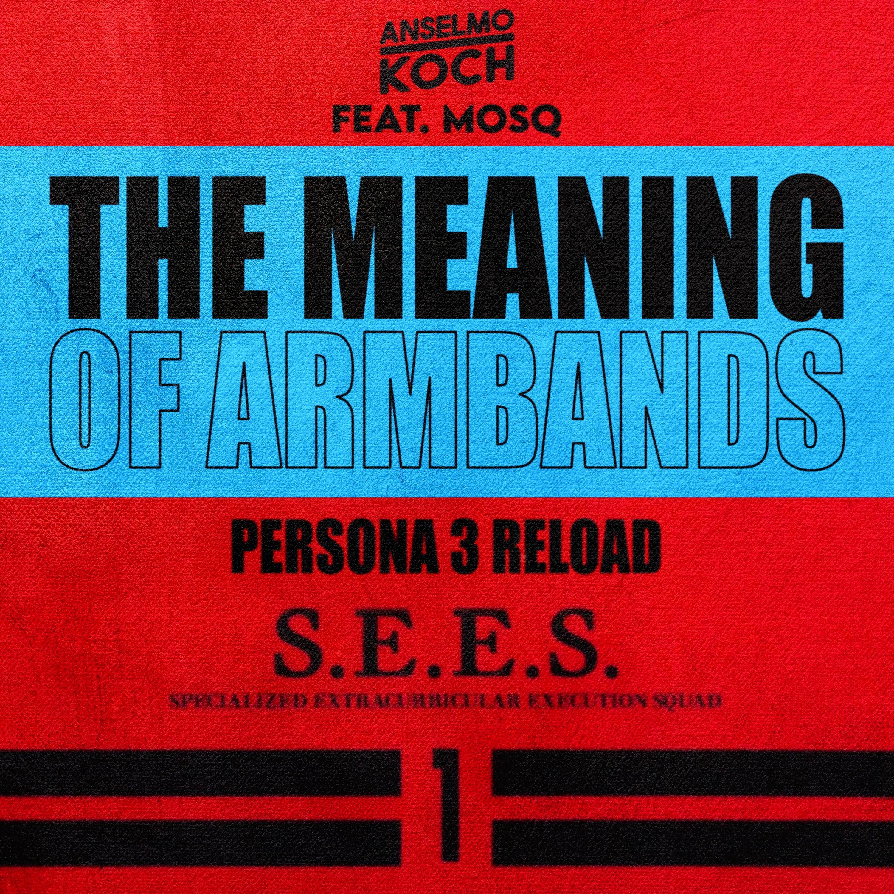 The Meaning of Armbands (Persona 3 Reload)