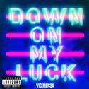 Down On My Luck (Remixes)专辑