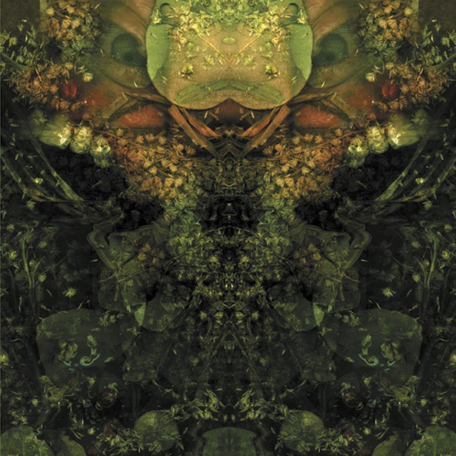 Edward's Lament