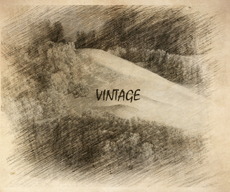 Winter Vintage专辑