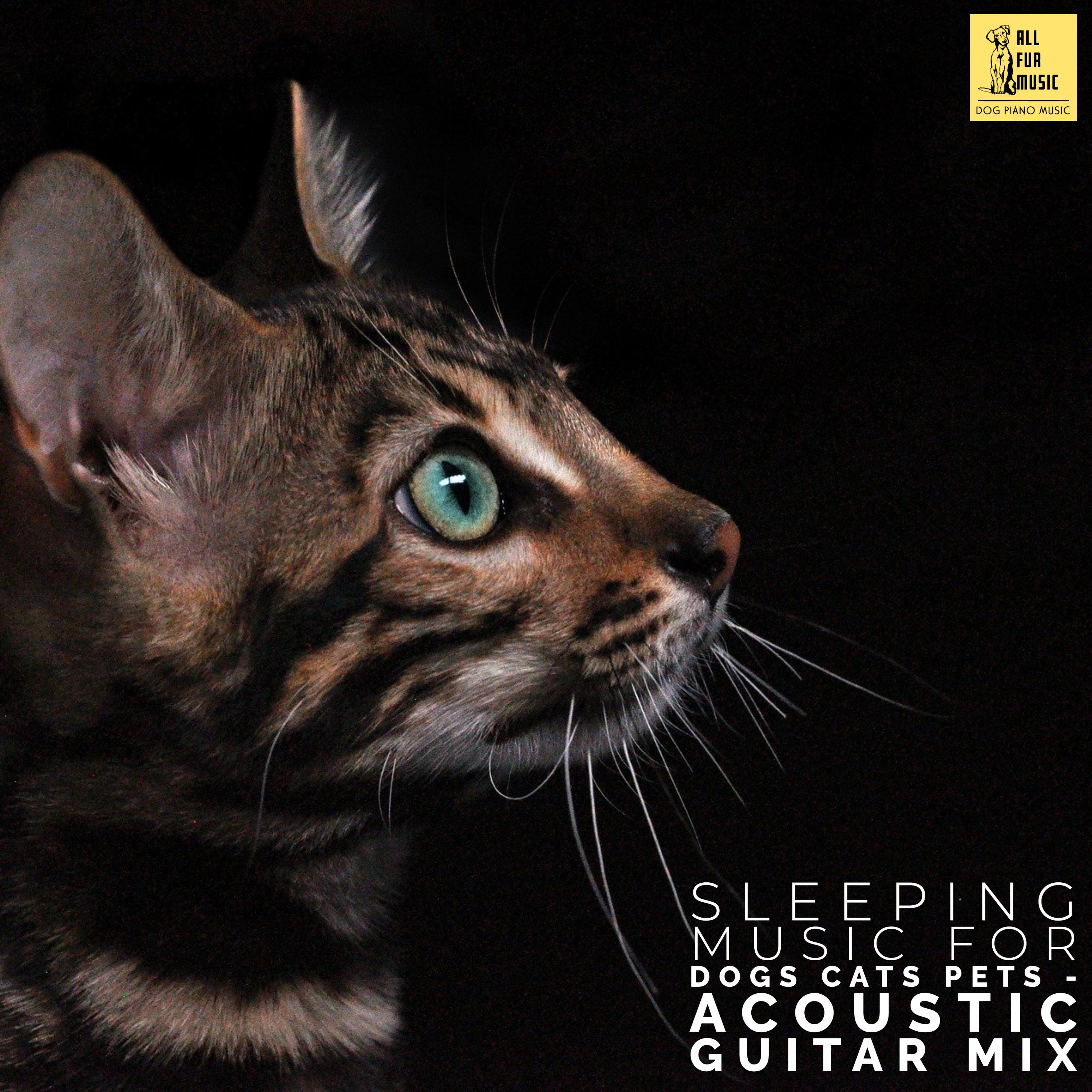 Sleeping Music For Dogs Cats Pets - Acoustic Guitar Mix