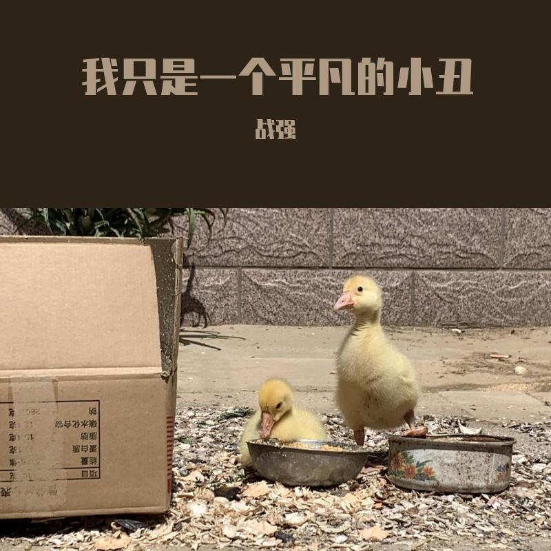 我只是一个平凡的小丑