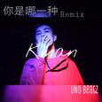 你是哪一种Remix