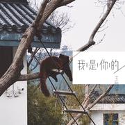 我是你的