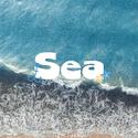 Sea