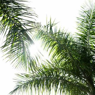 夏天很长 夏风很凉