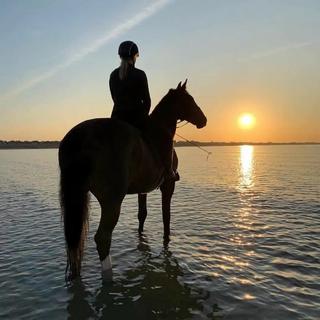 慢下来，听听歌