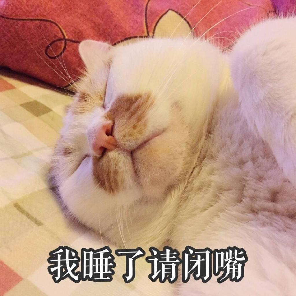 白噪音 | 猫呼噜 | 在线播放 | 网易云音乐