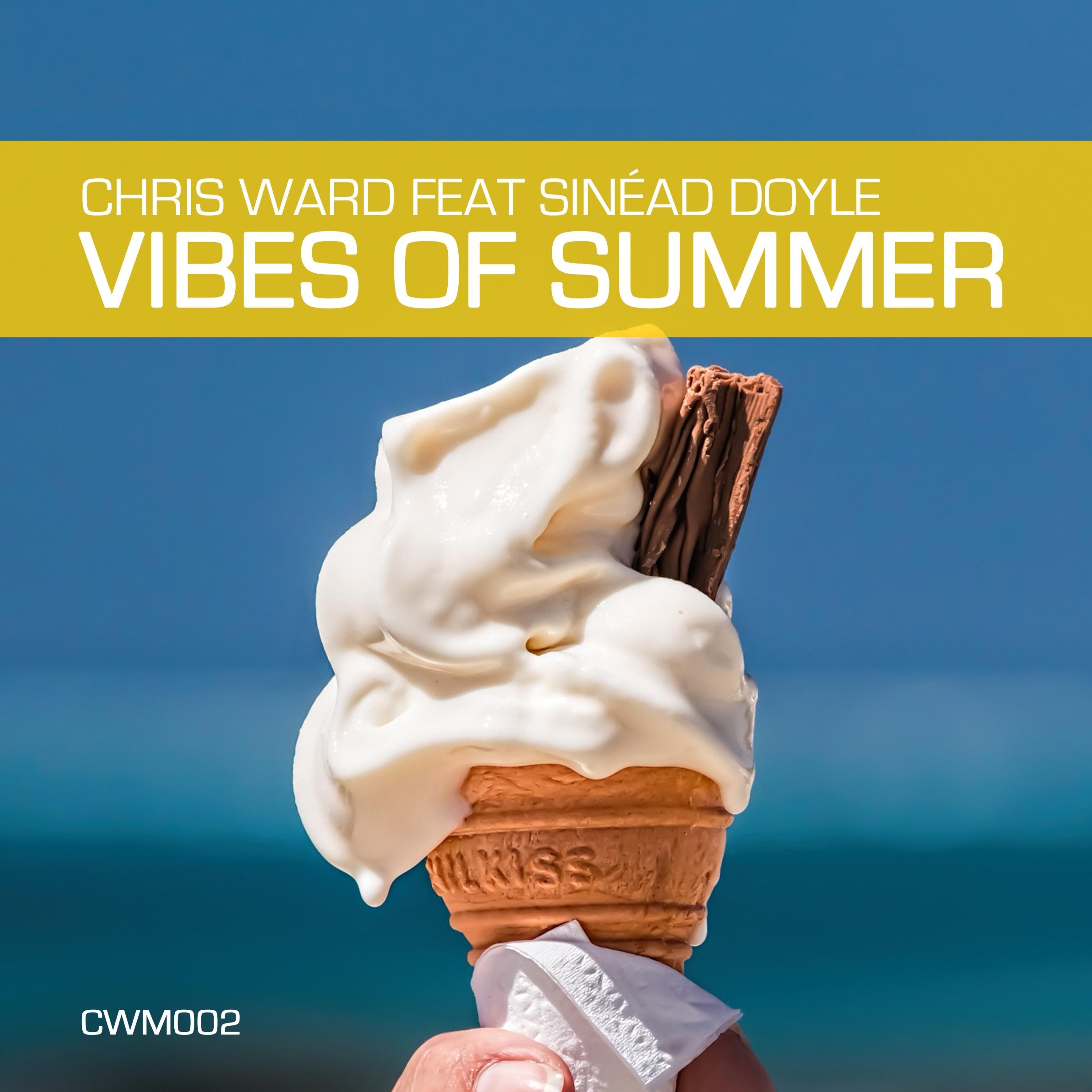 Vibes Of Summer