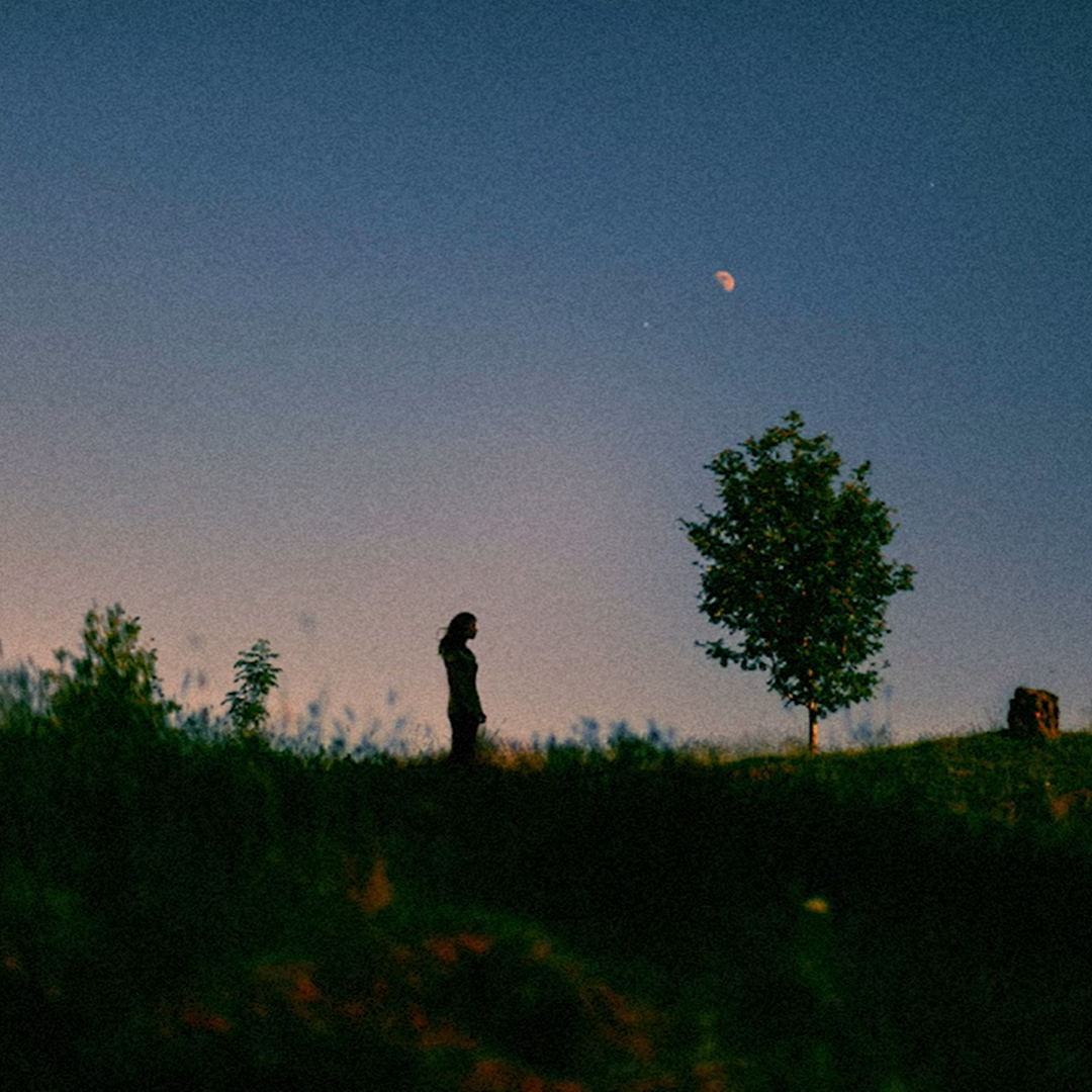 [FREE]