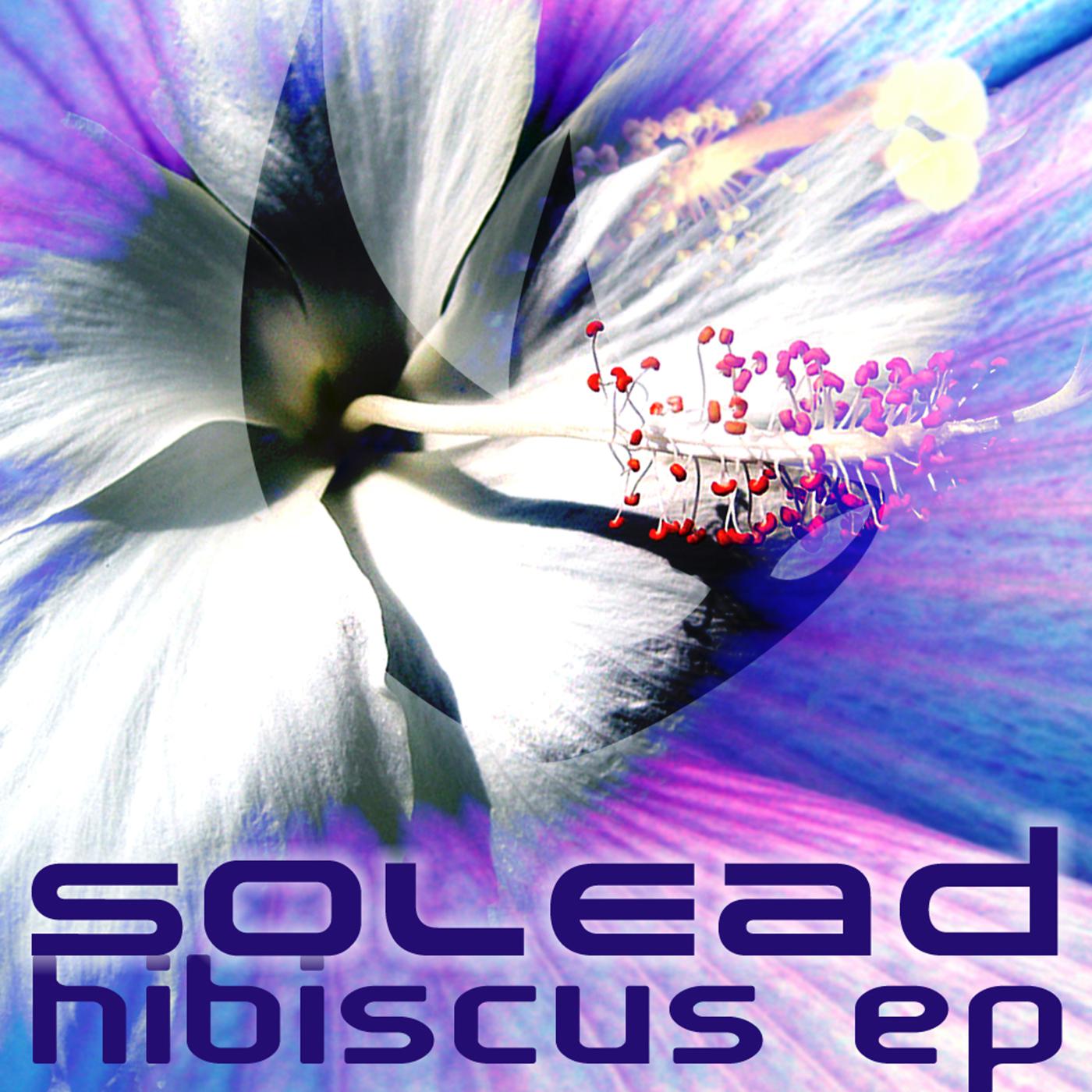 Solead - Hibiscus (Fiord Remix)