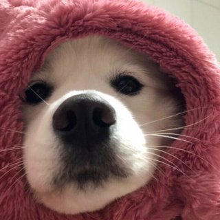［汇总］月牙：每日一首