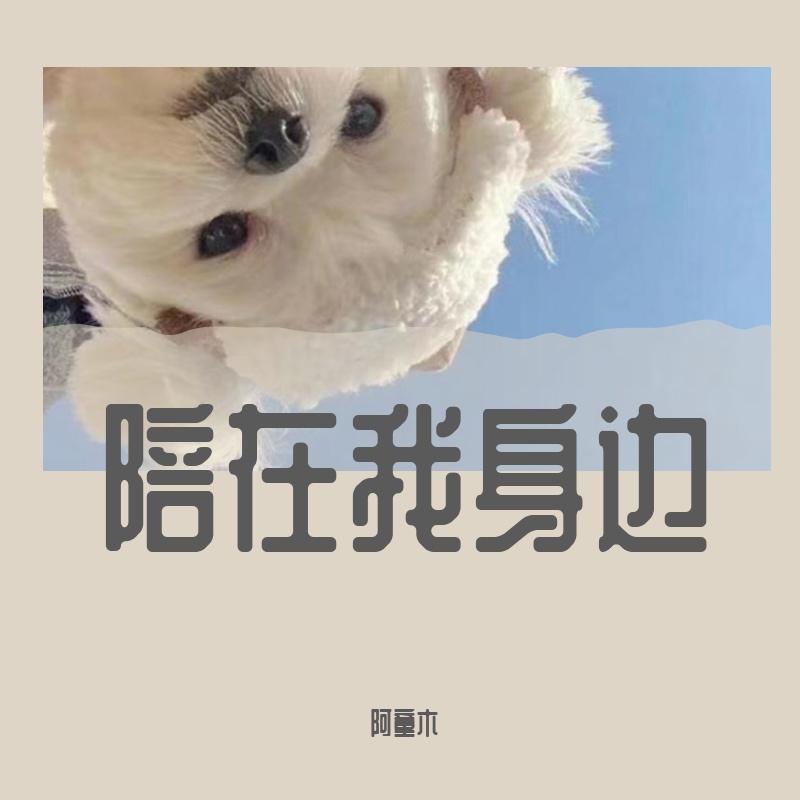 陪在我身边就好