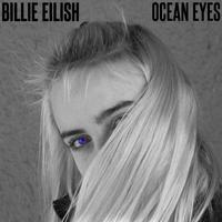 Ocean Eyes - Billie Eilish (S Karaoke) 带和声伴奏