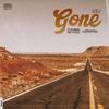 Hiding In Headstones - Gone (feat. The Stixxx)