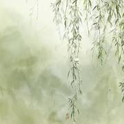 恨迟