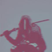 Trap Ninja