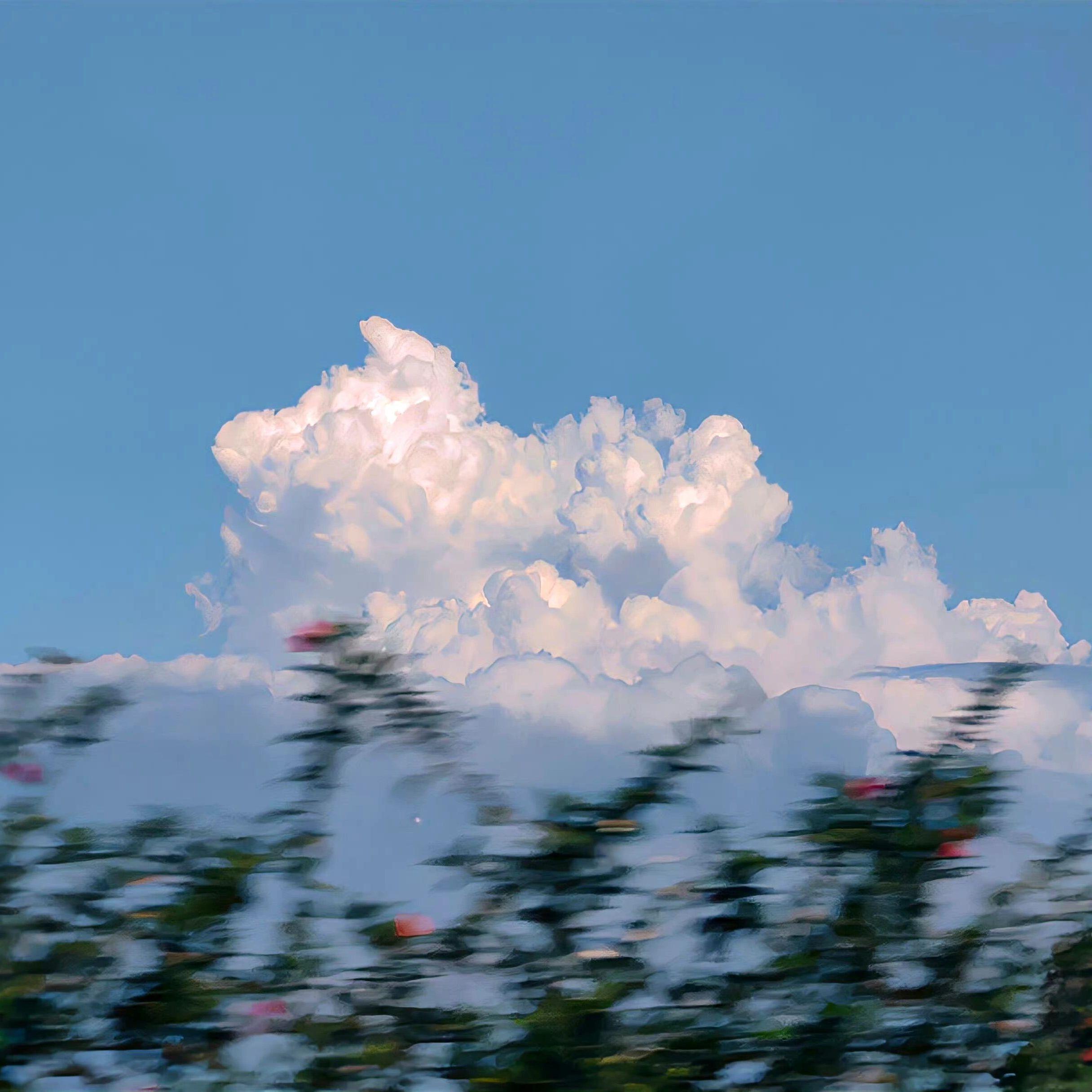 晚安（抖音热播）
