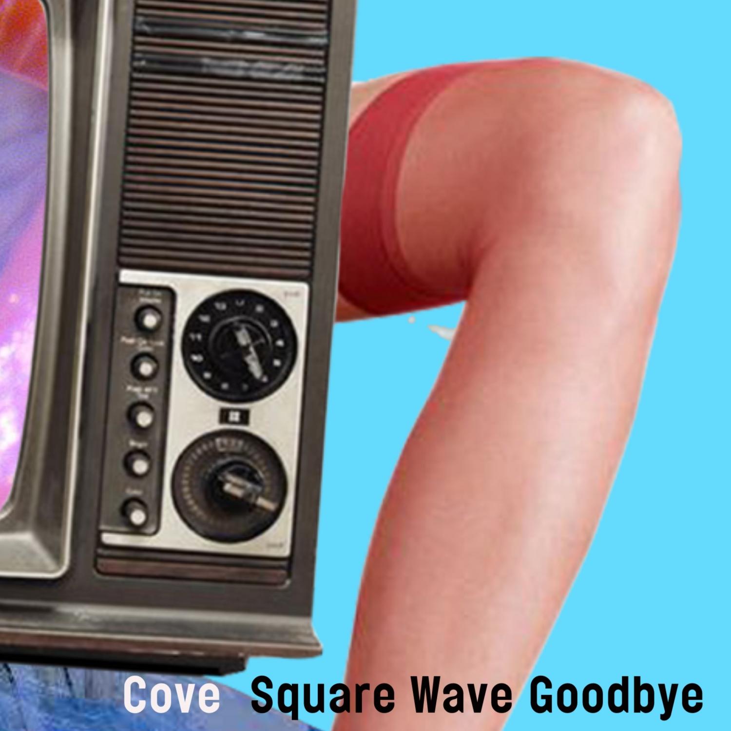 Square Wave Goodbye
