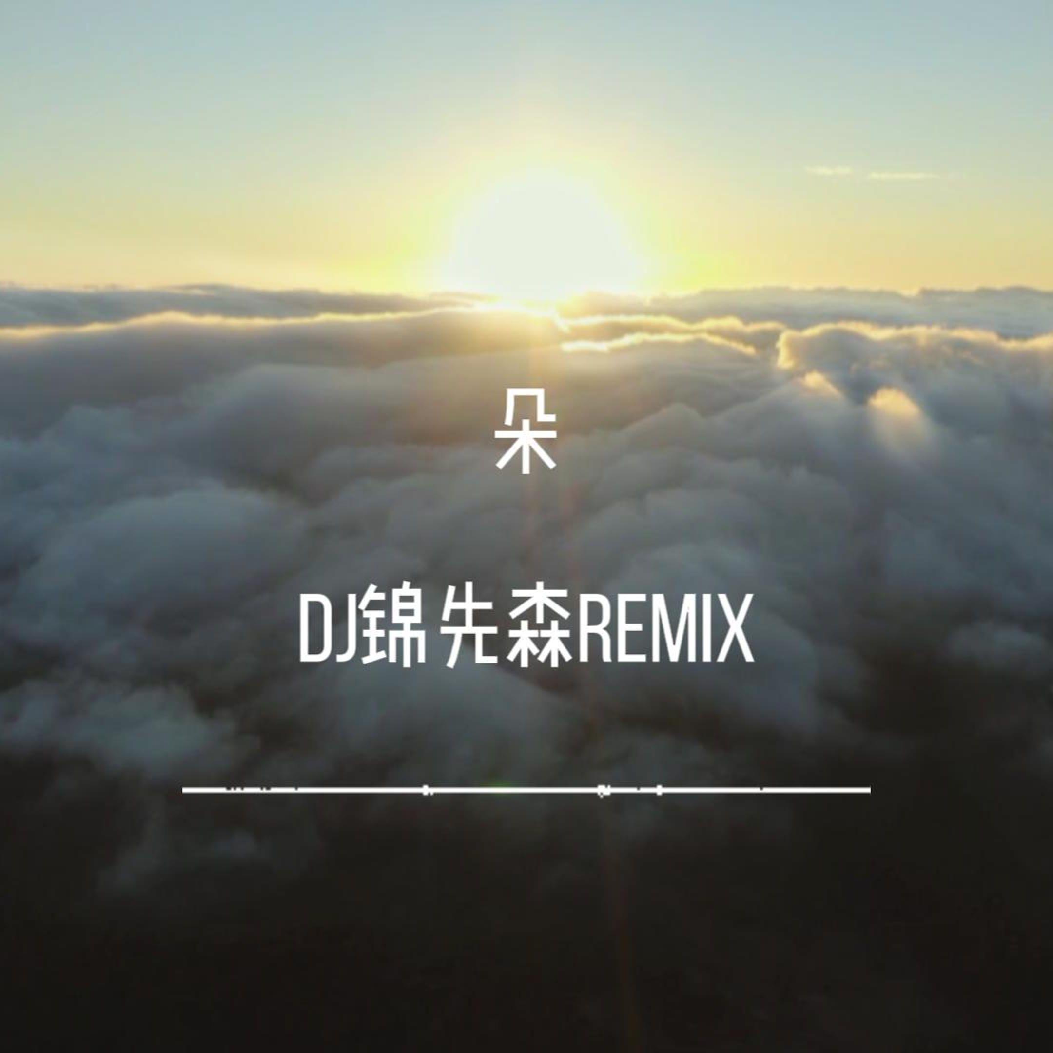 朵（DJ锦先森 Remix）